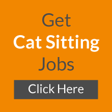Cat Sitting Jobs - Cat Sitters
